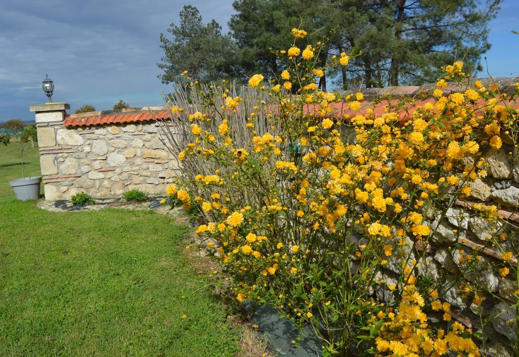 Le Coteau De Bazeille Sauna&Detente Sas Sainte-Bazeille Exterior photo